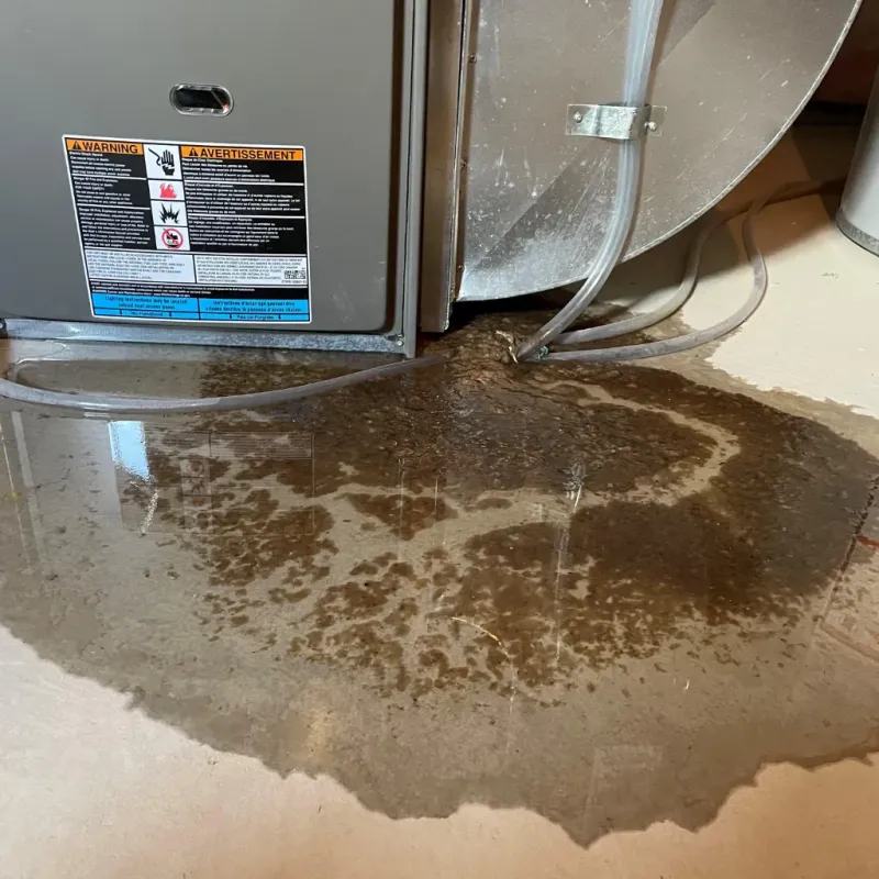 Appliance Leak Cleanup in Makakilo City, HI