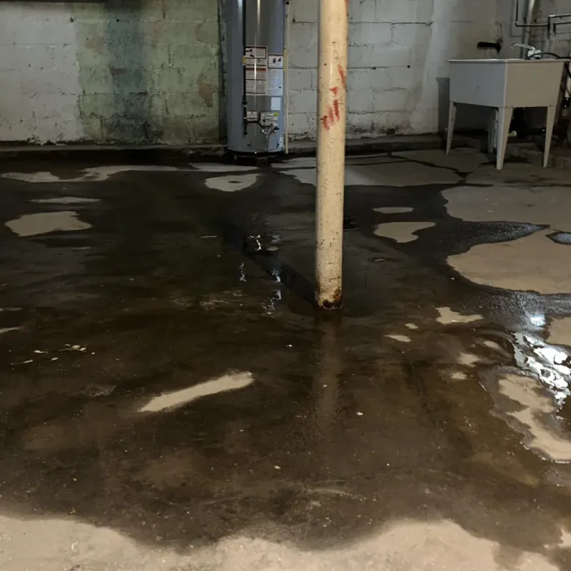 Emergency Water Extraction And Removal in Makakilo City, HI